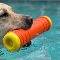 Floating Fetch Toy